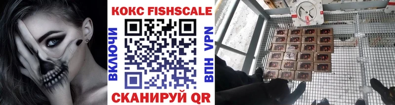 Cocaine FishScale  Купить  Данилов 