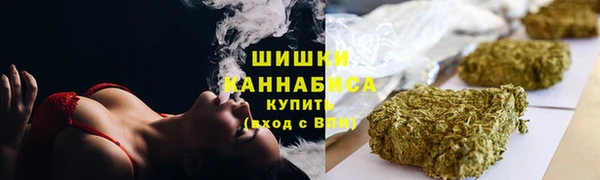 СК Инсар