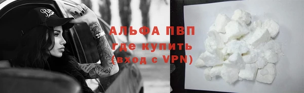 прущие грибы Иннополис