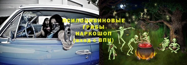 СК Инсар