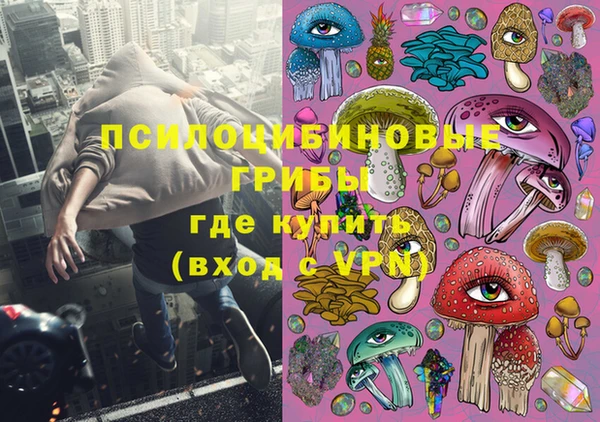 СК Инсар
