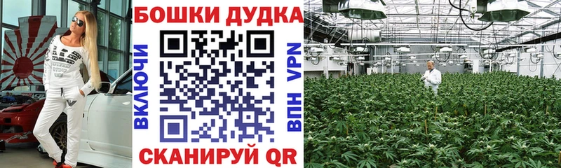 Шишки марихуана Bruce Banner  Купить где  Данилов 